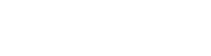 Логотип партнёра