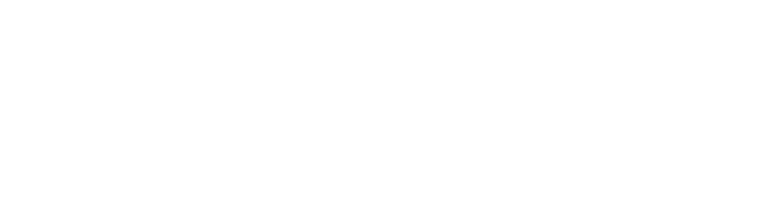 Логотип партнёра